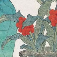 车牌尾号最吉利的字母 车牌尾号字母吉凶判断