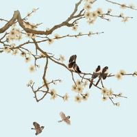 家有10种东西必破财 破鞋存于家中不利于家庭和谐