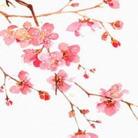 2022年8月12日出生的男孩命好不好 感情幸福 财运顺畅