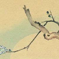 2022年属虎男本命年戴什么好 本命佛让男虎旺财转运