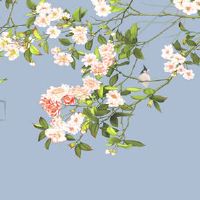 2022年本命年可以搬新家吗 太岁年新房装红有好运