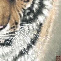 农历九月二十六出世的小孩十二星座运势状况！