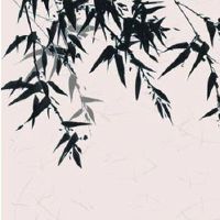 2022年7月22日时辰宜忌分析 这天日子好不好?