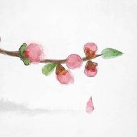 2022年8月24日是结婚吉日吗 这天日子宜忌