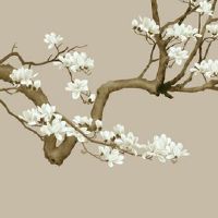 2022年本命年考试顺利吗 穿蓝衣有助考运提升