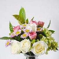 桑拓木命和什么命格相克不适合在一起