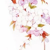 喜糖礼盒里需放几样东西 结婚喜糖盒应放什么东西