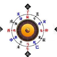 属鼠公司办公室怎样摆放