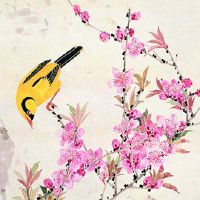 门面生意不好怎么改运 店铺名字也会影响风水好坏