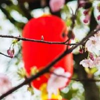 结婚前装箱是什么意思 整理准备结婚事宜