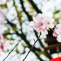 结婚用品清单大全 结婚好话顺口溜大全