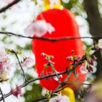 结婚嫁妆箱子里装什么 父母浓情箱子双数最吉利