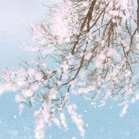 现在结婚女方都陪送什么东西 家具家电应有尽有