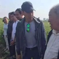 阴宅风水案例：福人撞福地：碑石塌陷，福荫不减