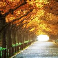 天河水命女和大驿土命男能结婚吗 相配吗