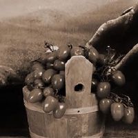 江南地区易林：福祸由心定，修身养性可改运！