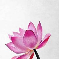 2022年7月29日是不是黄道吉日?当日时辰宜忌分析