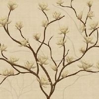 98年2022年本命年戴什么 壬寅年戴红绳遇难呈祥