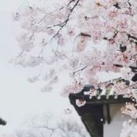 结婚装箱啥意思 结婚箱子买多大尺寸