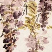 75年属兔47岁有一灾 灾难面前需要小心