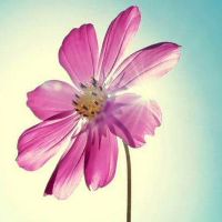 梦见自己不断逃跑躲藏