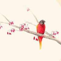 98年属虎女的爱情运势 细水长流才能长久