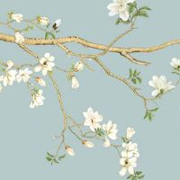 每个属相的招财花 财库上摆放聚宝盆招财效果加倍