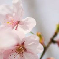 结婚前沟通的50个问题 婚后女性必做的三件事