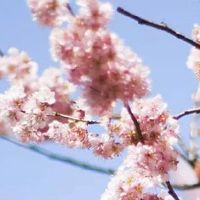 结婚新娘自己需要买啥 服装配饰需亲力亲为