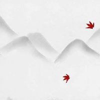 属兔几月出生是一等命 三月五月七月生生活安逸富贵