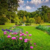 大驿土命和石榴木命婚姻缘分如何