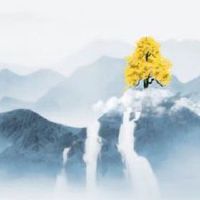 服装公司英文名字起名大全 最新服装公司好名推荐