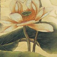 车牌两个88连着好吗 车牌号码的吉利选择