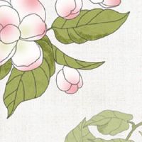 怎么样的车牌算好车牌 命理吉利的车牌号码测试