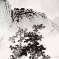 5楼不是一般人能住的 安宁亲切生活稳定