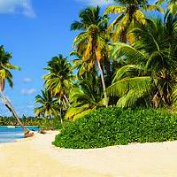 甲午日柱男命与己巳日柱女命婚姻运势怎么样