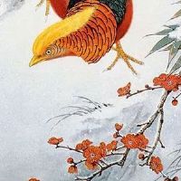 号令天下测车牌号 车牌号令天下吉凶查询