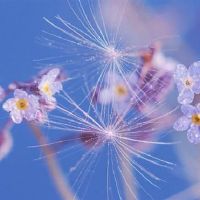 详细的提醒，这12个星座如何安全地支出？