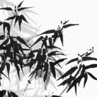 黄历查询:2022年公历10月属虎的上等订婚吉日