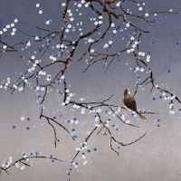 猪和兔在一起对谁不利 兔和猪友情平淡