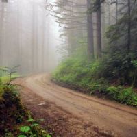 正印坐劫财的意思 表现能力强