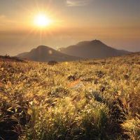 甲辰日柱偏财女命运势发展怎么样