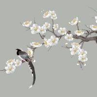 风水里最吉祥的花 在家养鸿运当头可催财