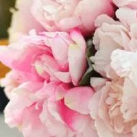 没结婚提前把婚床睡了 地区不同影响不同