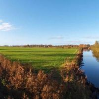 水象星座和土象星座配对情况如何