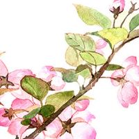 本命年看见死人好不好 太岁年参加葬礼的讲究