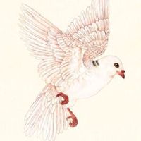 车牌有6容易出车祸 车牌号码选择看五行