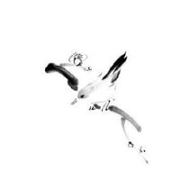 风水上最完美的户型 聚财纳福福气绵延