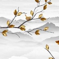 太阴落陷化权入夫妻宫 太阴星入命男命会克女