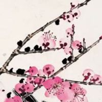 1984属鼠2022年运势如何 大放异彩行大运